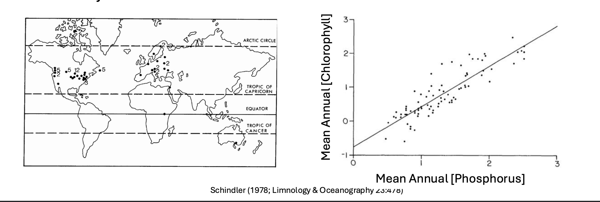 <p><span style="color: rgb(255, 251, 251);">Factors influencing primary productivity - Phosphorus </span></p><ul><li><p><span style="color: rgb(255, 251, 251);">Living things require phosphorous (ATP, DNA, phospholipids)</span></p></li><li><p><span style="color: rgb(255, 251, 251);">Phosphorus is usually the limiting nutrient for PHYTOPLANKTON growth in freshwater systems.</span></p></li><li><p><span style="color: rgb(255, 251, 251);">When more phosphorus is available:<br>• Phytoplankton BIOMASS increases<br>• CHLOROPHYLL concentration (a proxy for algal biomass) increases<br>• Water CLARITY decreases</span></p></li></ul><p></p>