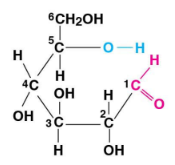 <p>What molecule is this?</p>