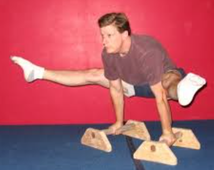<p>Give two functions of the skeletal system that help the gymnast move his lower body into this position</p>