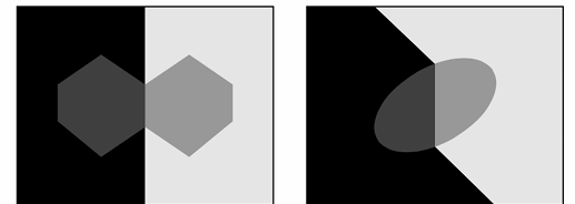 <p>what transparency condition does the right image support? </p>