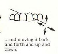 <p>back and forth</p>