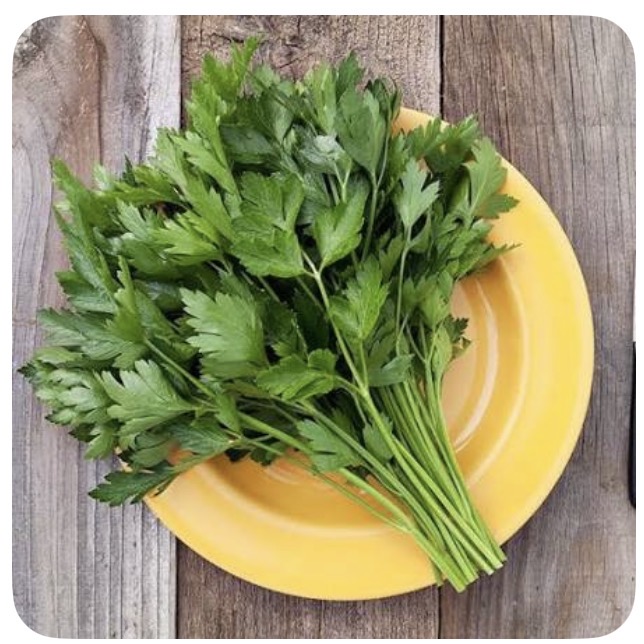 <p>Parsley</p>