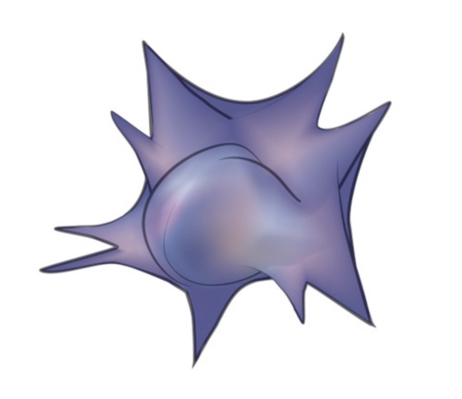 <p>Satellite</p>
