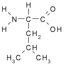 <p>What is this amino acid and its codon?</p>