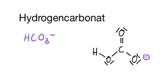 <p>HCO<sub>3</sub><sup>–</sup></p><p><sup>leicht löslich</sup></p><p>mehratomiges Ion</p>