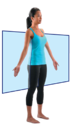 <p>Frontal (coronal) plane</p>