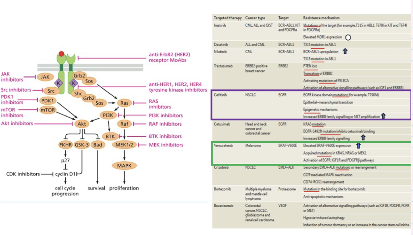 <p>there are multiple ways to inginit it so therefore multiple ways to acquire resistance </p>