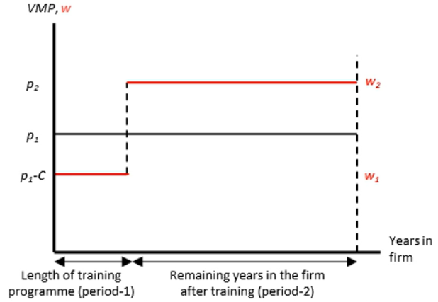 <p><span style="background-color: transparent;">Beckers (1962) - firms have no incentive to pay for the cost of general training. If they did, other firms could “poach” the trained worker.</span></p><p>Workers, therefore, pay by accepting a lower wage (w1) during the training period</p>