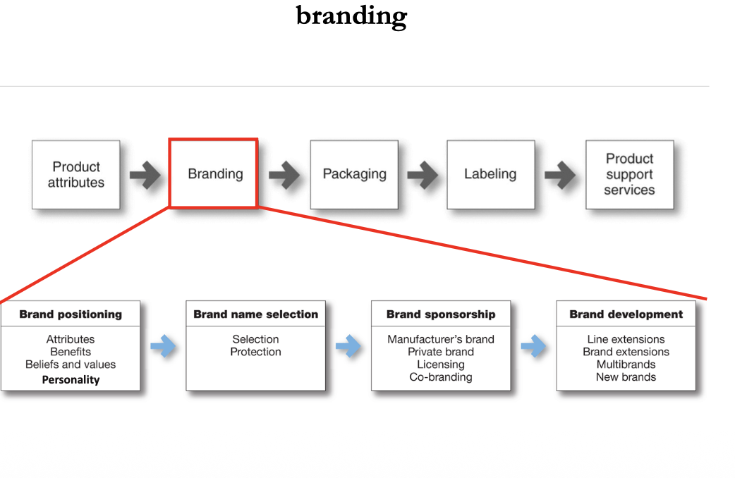 <ol><li><p>Brand positioning </p></li><li><p>brand name selection </p></li><li><p>brand sponsorship </p></li><li><p>brand development </p></li></ol><p></p>