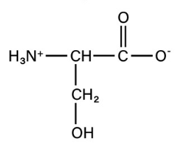 <p>polar neutral</p>