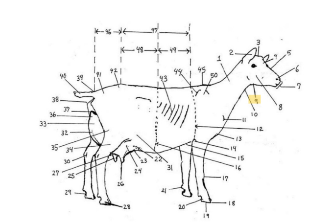 knowt flashcard image