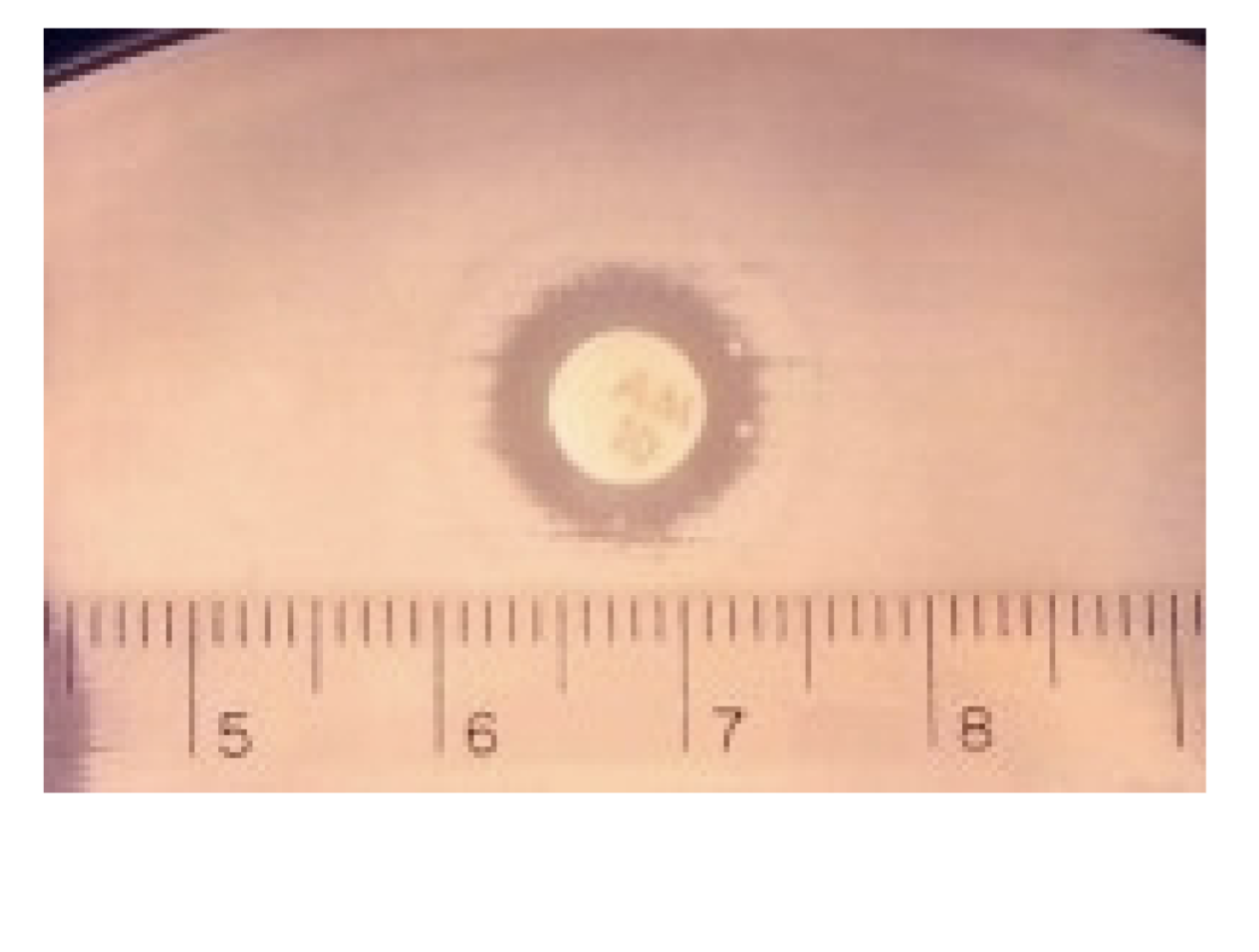 <p>what is the size (hard to tell)</p>