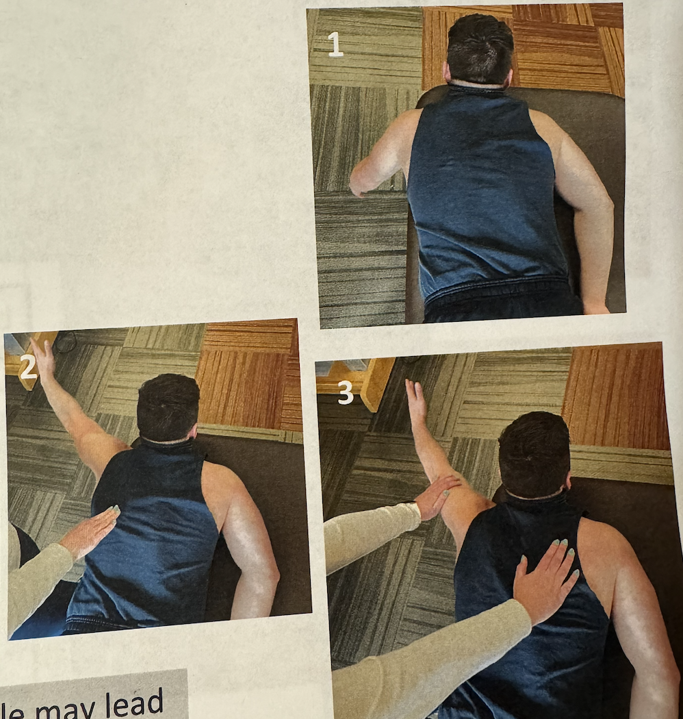 <ul><li><p>position: prone, shoulder at 145 abduction, have client raise arm </p></li><li><p>stabilization: opposite scapula</p></li><li><p>palpate: muscle belly inferior and medial to insertion (near inferior angle)</p></li><li><p>resistance: towards floor—scapular elevation(?)</p></li></ul><p></p>