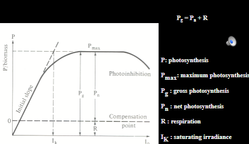 <p>know how to label this</p>