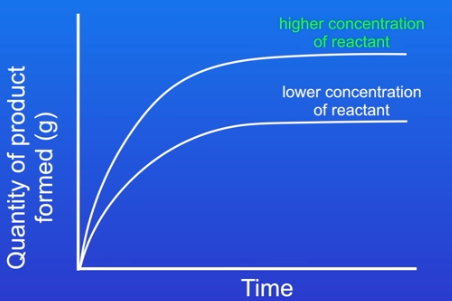 <p>increasing conc. of reactants will ↑ ROR bc there is a greater availability of reactant molecules per unit volume ∵ cps will be higher</p><p>bc the rate ↑ if we increase the conc, ROR is proportional to the conc.</p><p>two containers of the same vol of reactant in solution but one w double conc. will have double the ROR bc double the cps </p><p>on a graph the ROR is higher bc more cps but also more quantity of end product as we started w more reactant (for the same vol )</p>
