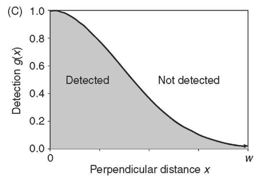 <ul><li><p><span style="background-color: transparent;">f(x) = g(x) / μ</span></p></li><li><p><span style="background-color: transparent;">this makes f(x) a probability density function</span></p><ul><li><p><span style="background-color: transparent;">these are easy to work with for estimation problems</span></p></li></ul></li></ul><p><span style="background-color: transparent;">There is a relationship between the detection function and the histogram of count data and that relationship is a function of the effective half width of the survey</span></p>