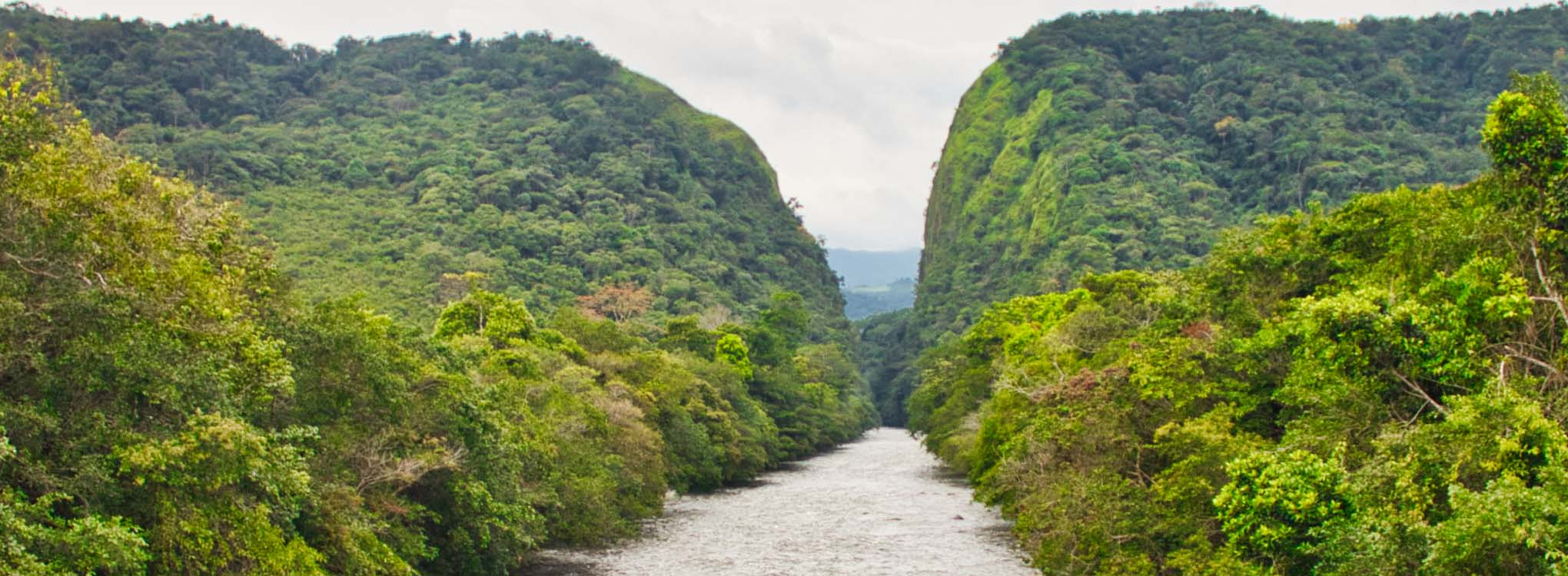 <p>Caquetá, Florencia</p>
