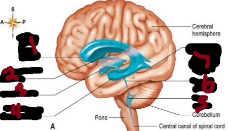 <p>4</p>