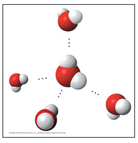 <p>what kind of bond is this?</p>