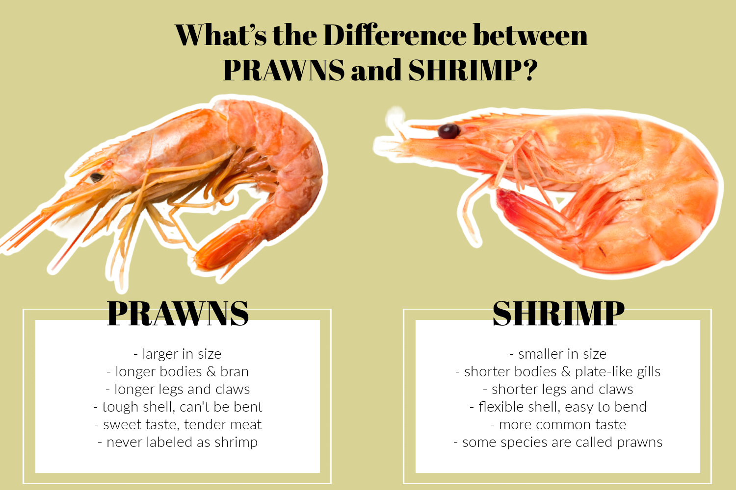 <p>prawn</p>
