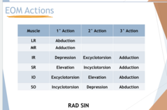 <p>EOM ACTIONS</p><p>SO</p>