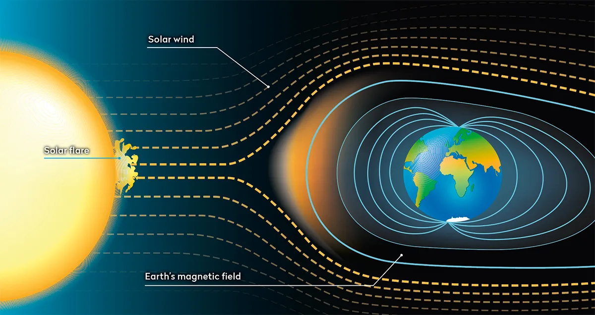 <p>Purpose of Electrical Fields</p>