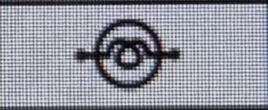 term image