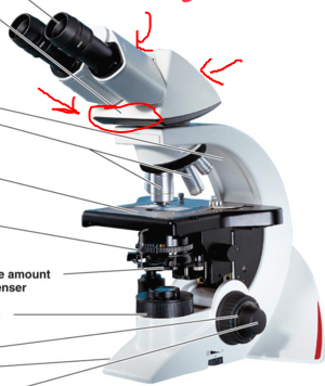 <p>What part of the microscope is this</p>