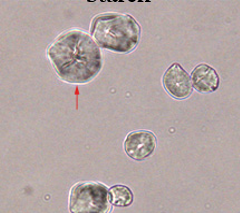 term image
