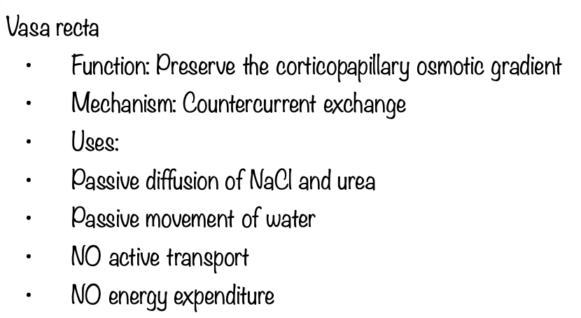 <p>B - Passive process</p>