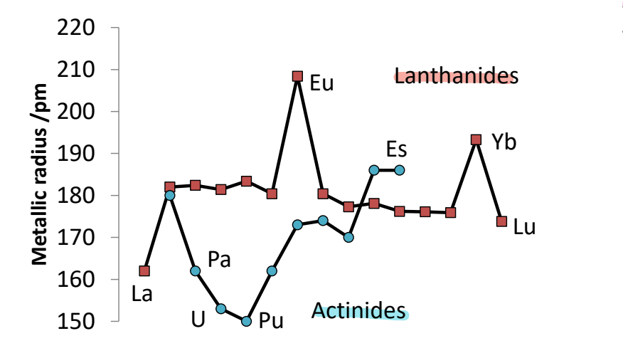 <p>For the lanthanides the metallic radius is quite constant.</p><ul><li><p>Eu and Yb have a larger radius, showing longer weaker bonding occurs.</p></li></ul><p>Actinides have no real trend, reflecting their complexity.</p>