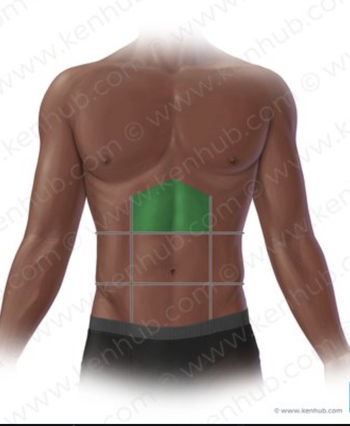 knowt flashcard image