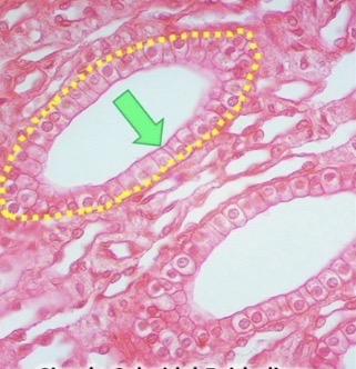 <p>?</p>