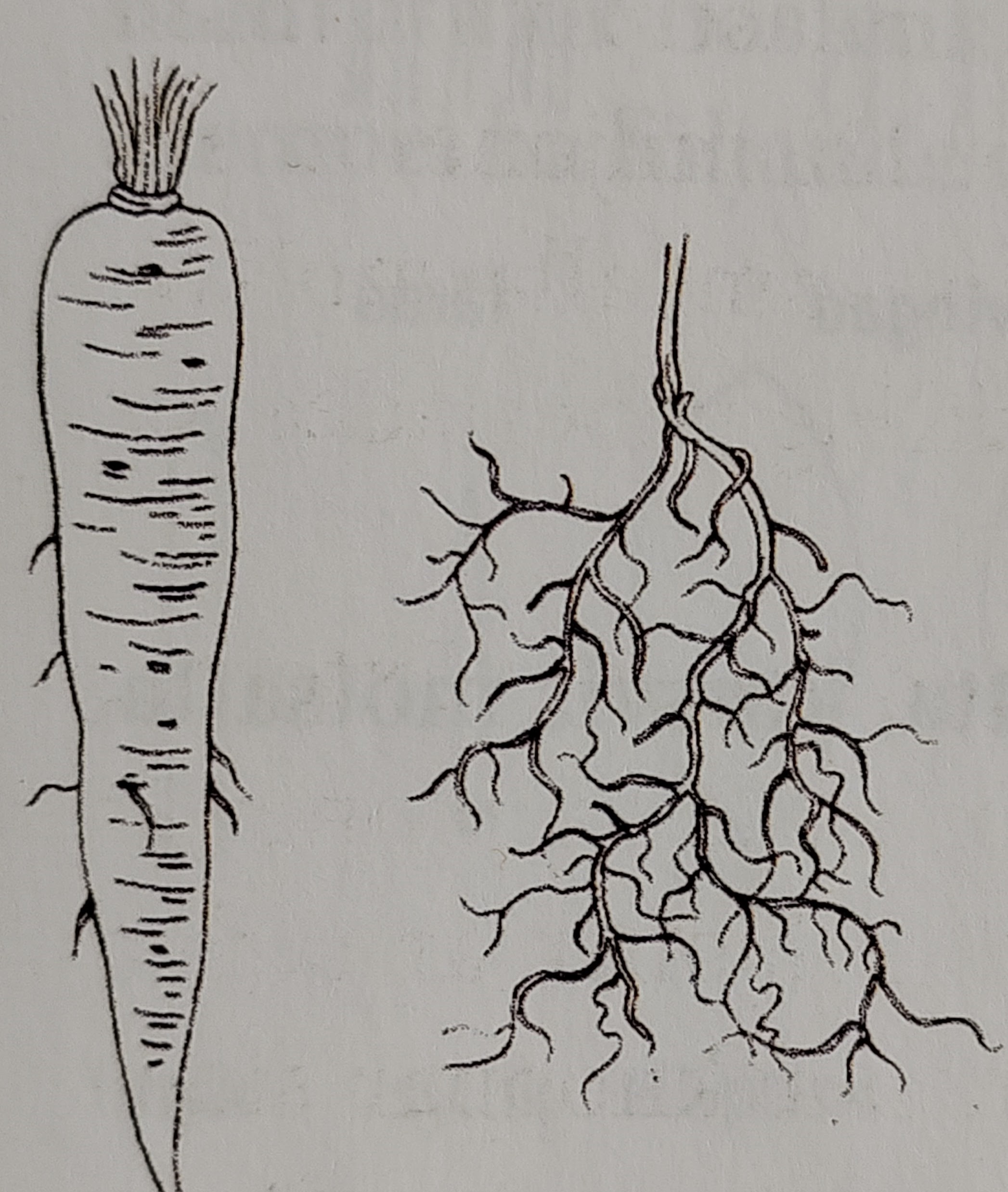 <p></p>
