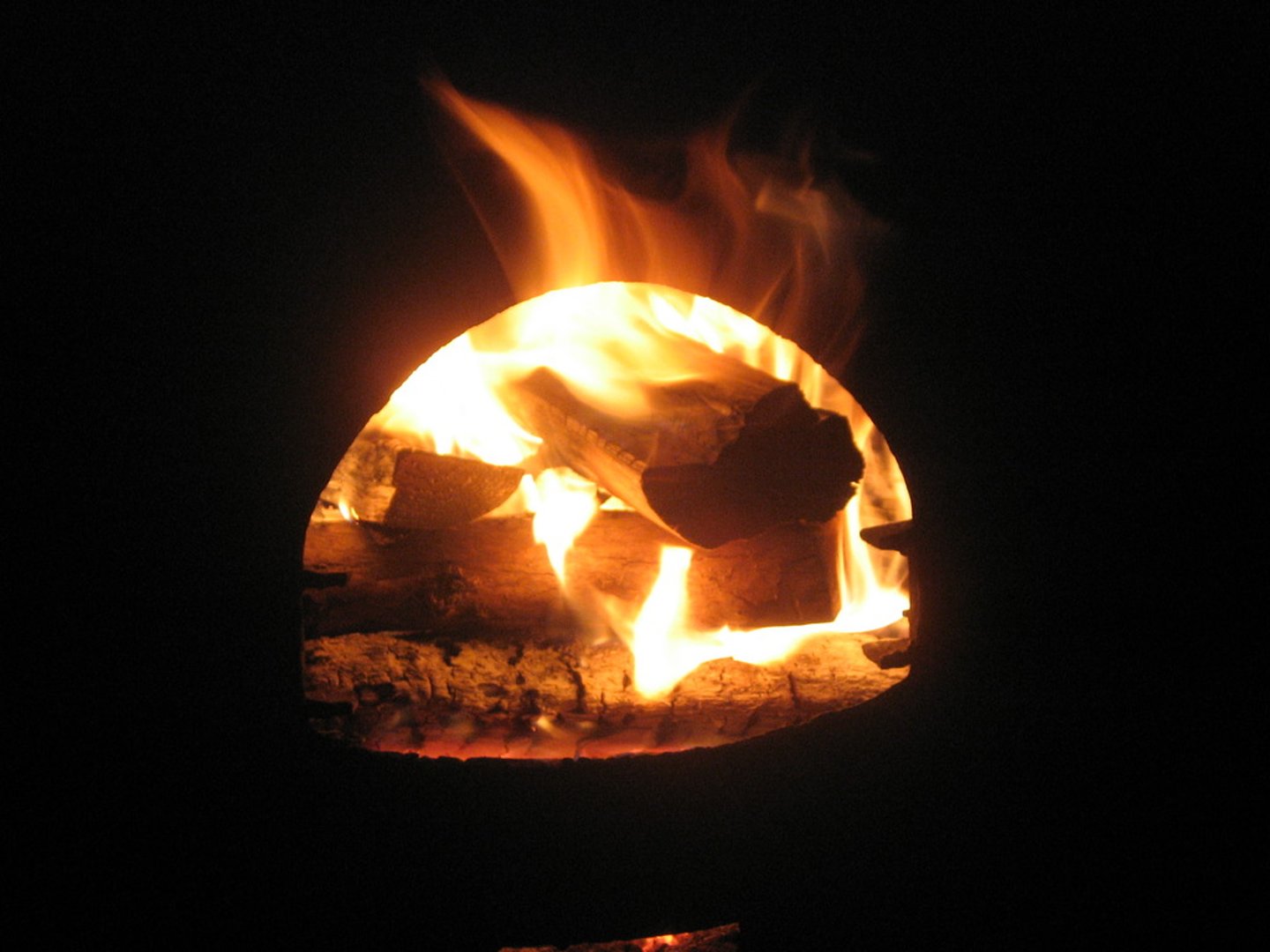 <p>đốt cháy</p>