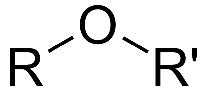 <p></p>
