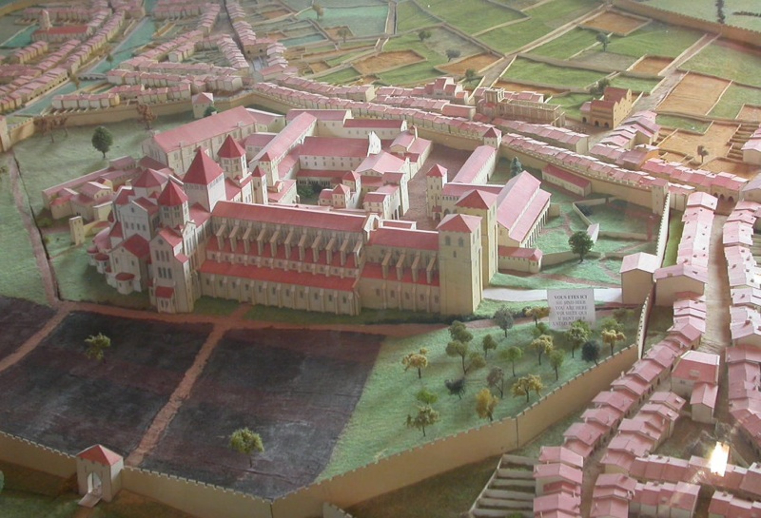 term image