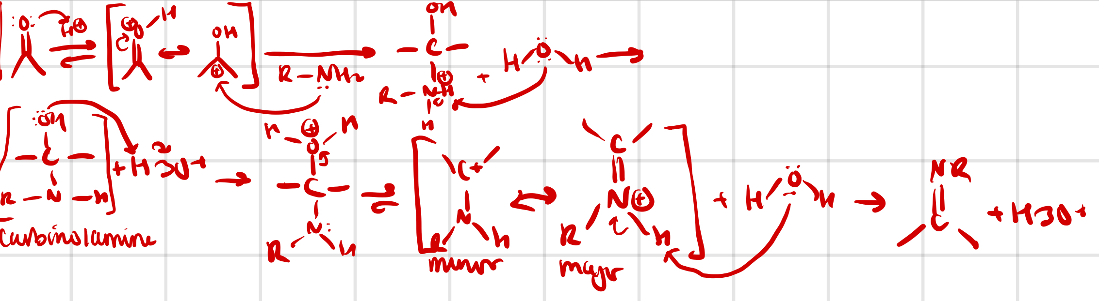 knowt flashcard image