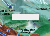 <p>The Water Cycle: Name this step</p>