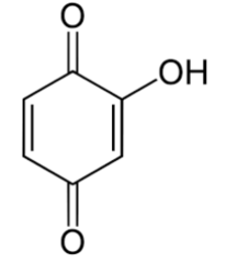 <p>produced by oxidation of quinones, adding a variable number of hydroxyl groups</p>