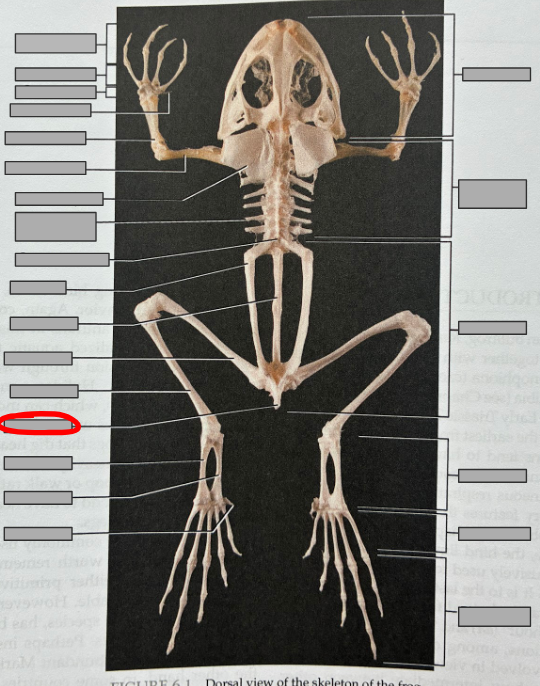 <p>What part of the organism is this?</p>