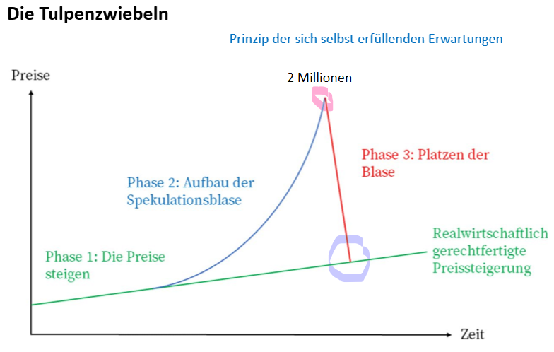 <p>Beschreibe die drei Phasen einer Spekulationsblase.</p>