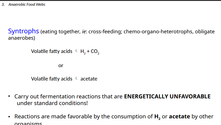 <ol><li><p>H2</p></li><li><p>Acetate</p></li></ol><p></p>
