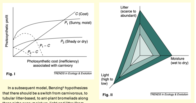 <p>How does Benzing’s model differ from Givnish’s model?</p>
