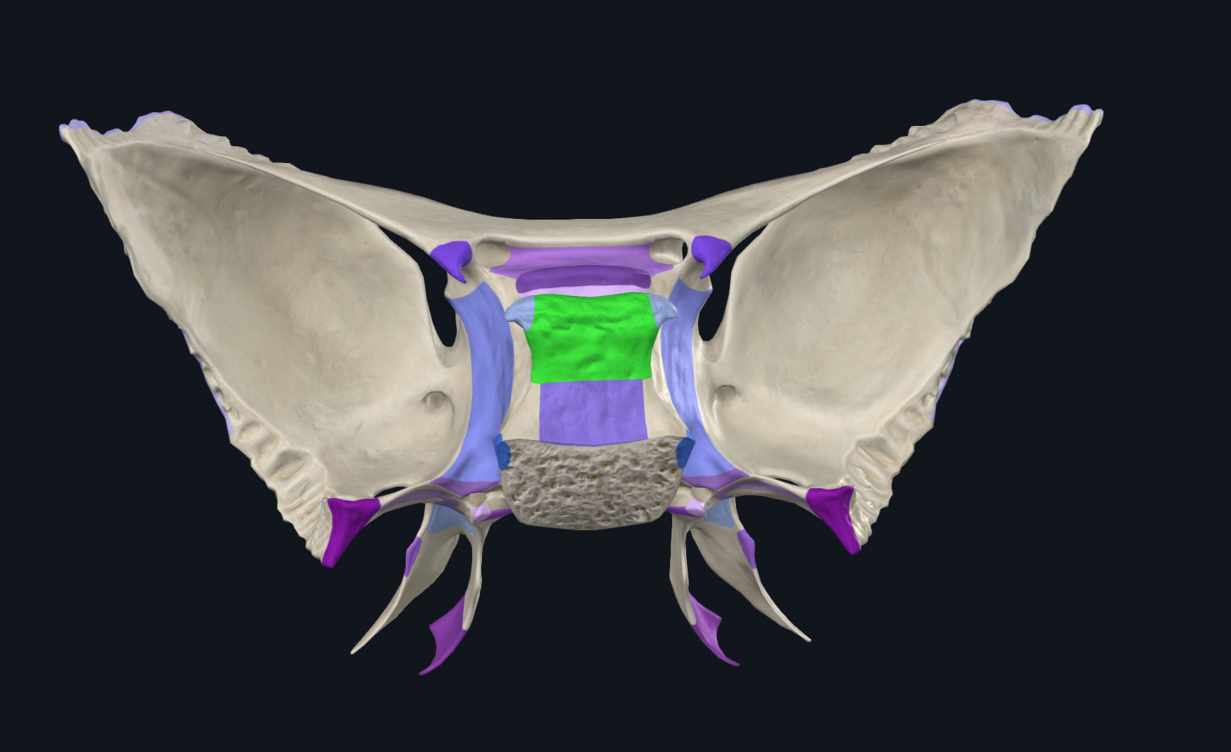 term image