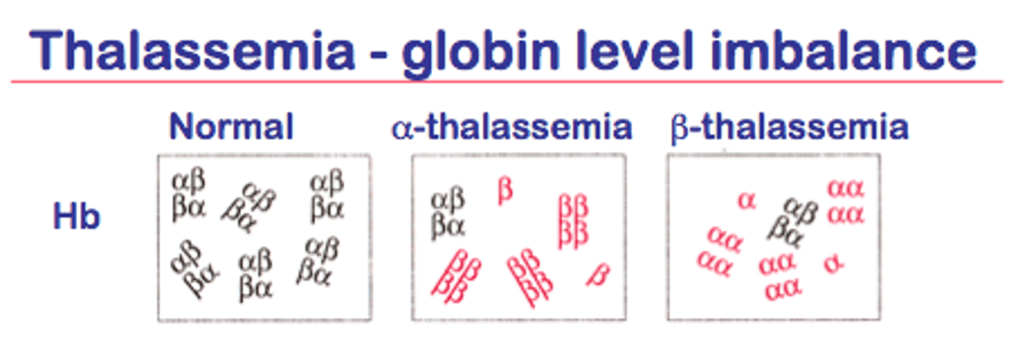 <p>- Its condition is a severe anemia that reduces the ability of the blood to carry oxygen; nearly all affected infants are stillborn or die soon after birth</p><p>-Those who are at risk are primarily families of Malaysian, African, and Southeast Asian descent</p><p>- It can be done through frequent blood transfusions</p>