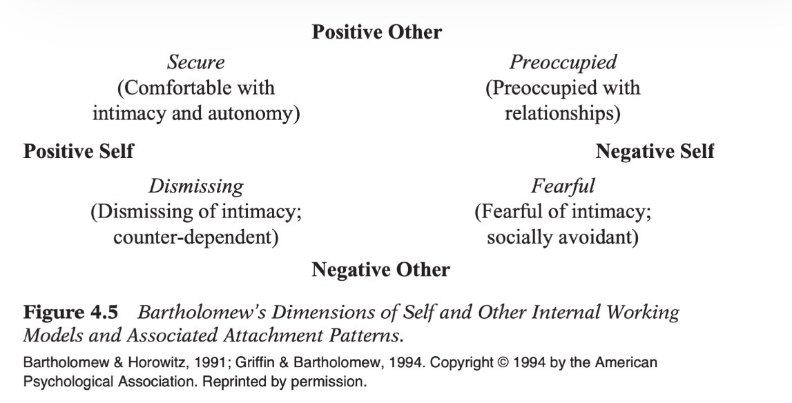 <ol><li><p><strong>Object Relations Theory</strong></p></li></ol><ul><li><p class="p2"><strong>Core revision:</strong> <strong>Biological drives → significant others (“objects”)</strong>; <strong>object = emotionally important person</strong> (usually caregiver).</p></li><li><p class="p2"><strong>Core idea:</strong> Early caregiver relationships → <strong>internalized mental representations</strong> (self + others) → enduring expectations, perceptions, interactions; personality explained by <strong>internalized relationship patterns</strong>, not <strong>instinct </strong><span data-name="left_right_arrow" data-type="emoji">↔</span><strong> social constraint</strong> conflicts.</p></li></ul><p class="p2"></p><ol start="2"><li><p><strong>Self Psychology</strong> (within psychoanalythic tradition)<strong> & Narcissism</strong></p></li></ol><ul><li><p class="p2"><strong>Core revision:</strong> <strong>Representations of others → representations of the self</strong>; disturbed relationships ← failure to develop <strong>stable, coherent, positive self</strong>.</p><ul><li><p class="p2"><strong>(1) Narcissism (Kohut):</strong> <strong>Psychological energy invested in self</strong>; normal developmental process → pathological only after disrupted development. vs. (2) <strong>Narcissistic personality:</strong> <strong>Grandiosity; entitlement; fantasies of unlimited success/power; admiration seeking; reduced empathy (self-preoccupation); fragile self-esteem → criticism sensitivity; idealization </strong><span data-name="left_right_arrow" data-type="emoji">↔</span><strong> devaluation of others.</strong></p></li><li><p class="p2"><strong>Research: (1)</strong> <strong>NPI</strong> (self-reports) → more self-references; self-enhancement; mirror/video viewing; preference for <strong>admiring > caring partners</strong>; exhibitionistic, assertive, controlling, critical. Also <strong>self-aggrandizing attributions; simple self-concepts; cynical mistrust of others</strong> + <strong>(2) Experimental evidence:</strong> Manipulated success/failure → <strong>greater anger</strong> (esp. failure after success); larger <strong>self-esteem/happiness fluctuations</strong>; <strong>internal attributions for success; external attributions for failure</strong> → supports <strong>fragile grandiose self-image</strong>.</p></li></ul></li></ul><p></p><ol start="3"><li><p><strong>Attachment Theory</strong> (= <strong>strongest empirical successor to Freud</strong>; among the <strong>most empirically productive psychodynamic developments</strong> despite limitations)</p></li></ol><ul><li><p class="p2"><strong>Core revision:</strong> <strong>Attachment Behavioral System (ABS; Bowlby)</strong> = innate evolutionary system maintaining <strong>infant–caregiver proximity</strong>; caregiver = <strong>secure base</strong> → safe exploration + <strong>Internal working models:</strong> Repeated caregiver interactions → enduring <strong>mental representations of self + caregiver</strong> → later relationship expectations; stable personality structures.</p></li><li><p class="p2"><strong>Ainsworth – Strange Situation</strong> (<strong>Cross-cultural evidence:</strong> Universal attachment processes <strong>+</strong> cultural caregiving influence):</p><ul><li><p><strong>Secure (~70%)</strong> → separation distress; comfort on reunion; exploration resumes.</p></li><li><p><strong>Anxious-avoidant (~20%)</strong> → little separation distress; reunion avoidance (very low rates in Korea).</p></li><li><p><strong>Anxious-ambivalent (~10%)</strong> → extreme distress; simultaneous comfort seeking + resistance.</p></li></ul></li></ul><p></p><ul><li><p>“<strong>Types → dimensions” </strong>(modern view); attachment better represented continuously than categorically; <strong>Bartholomew:</strong> <strong>Internal working model of self × internal working model of others</strong> → <strong>secure; preoccupied; fearful; dismissing </strong>BUUUT <strong>Current limitations:</strong> Attachment styles <strong>not perfectly stable</strong>; vary across <strong>relationships, contexts, genders</strong>; evidence still heavily <strong>self-report</strong>.</p></li></ul><p></p><ul><li><p><strong>Attachment in Adulthood (Hazan & Shaver:</strong> Adult romantic love = continuation of <strong>infant attachment system</strong>; early <strong>internal working models</strong> → later relationship expectations/behavior)</p><ul><li><p><strong>Secure:</strong> trust; happiness; friendship; stable (but fluctuating / realistic) love; warmer childhood parental relationships (inter and intra).</p></li><li><p><strong>Avoidant:</strong> intimacy avoidance; distrust; skepticism about lasting love; emotional distance/work → avoid dependence; jealousy; emotional highs/lows; lower job satisfaction.</p></li><li><p><strong>Anxious-ambivalent:</strong> partner preoccupation; desire for complete union; intense jealousy/emotions/sexual attraction; reassurance seeking; relationship concerns interfere with work.</p></li><li><p>+ <strong>Broader findings:</strong> Predicts <strong>work orientation; stress psychopathology; interpersonal functioning; partner choice; religiosity; coping</strong>. <strong>Naturalistic airport studies</strong> confirmed attachment differences in <strong>actual behavior</strong> (not only self-report): avoidant women ↓ contact seeking/support during separations but warmer behavior without separation threat → <strong>infant attachment dynamics generalize to adult relationships</strong>.</p></li></ul></li></ul><p></p><p><strong>Personality and the Brain</strong></p><ul><li><p class="p2">(1) <strong>Oxytocin:</strong> ↑ attachment security; ↑ positive interpretation of attachment-related situations, <strong>(2.1) Neural basis:</strong> <strong>Multiple emotional systems</strong> (esp. <strong>limbic system</strong>), not single attachment center; (2.2) <strong>Cerebellum:</strong> Traditionally movement → also attachment. After interpersonal loss: <strong>avoidant attachment → reduced cerebellar volume; more secure attachment → greater cerebellar volume</strong> → emotional regulation systems contribute to attachment.</p></li></ul><p></p>