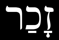 <p></p>