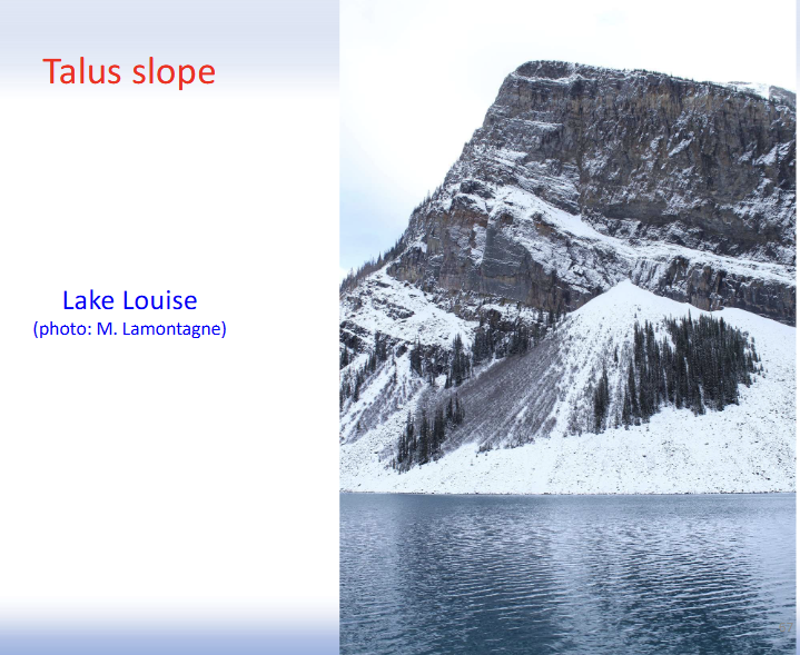 <p><strong>Talus slope: </strong>Accumulation of rock debris at the base of a cliff or steep mountain slope</p>