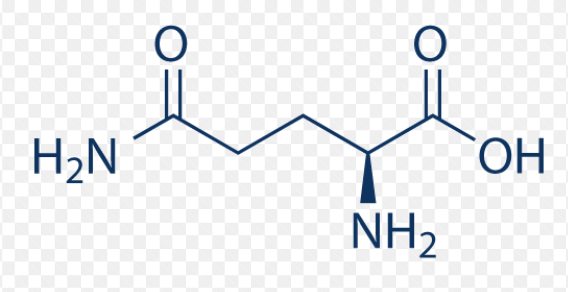 <p>name this amino acid</p>